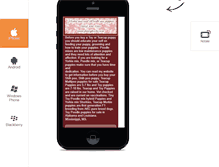 Tablet Screenshot of fancypoo4u.com